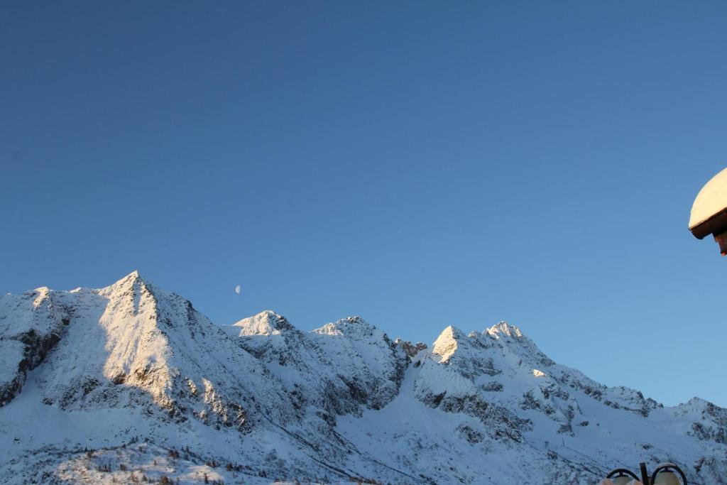Hotel Residence Dahu Passo del Tonale Kültér fotó
